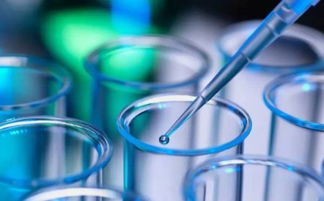 羽蛻啟動全員專業化常態化培訓 夯實生物科技護膚基礎